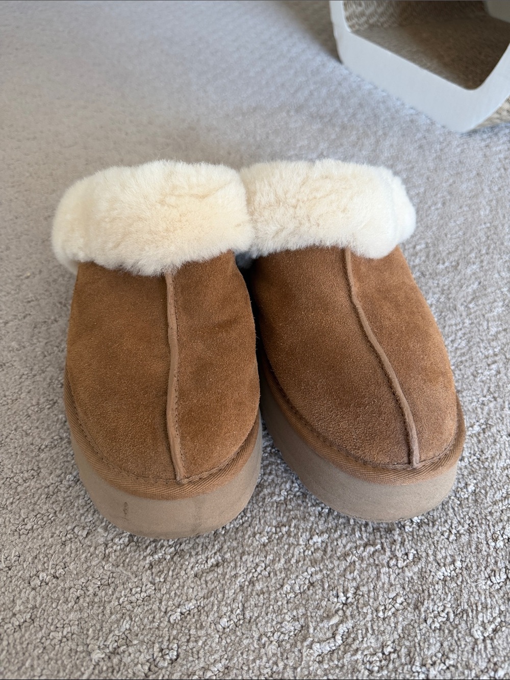UGG Chestnut Suede Shearling Clogs with Cream Collar